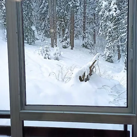 Elizi Winter House елизи зимна къща Apartmanhotel *