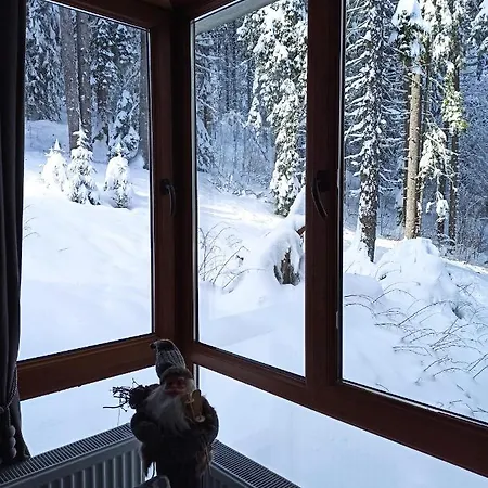 Apartmanhotel Elizi Winter House елизи зимна къща Pamporovo