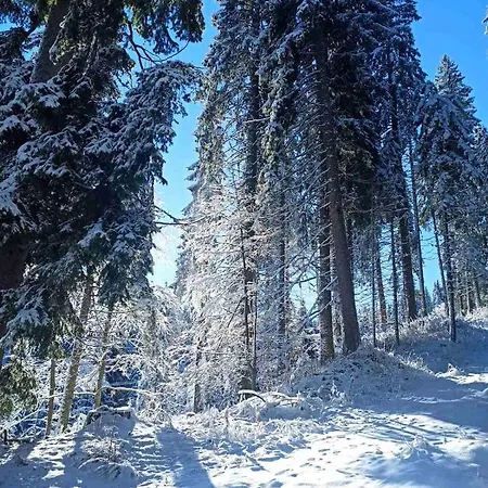 Elizi Winter House елизи зимна къща パンポロボ