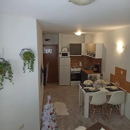 Apartmanhotel Elizi Winter House елизи зимна къща *