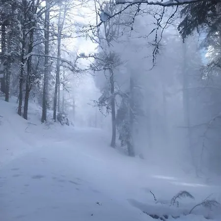 Elizi Winter House елизи зимна къща *