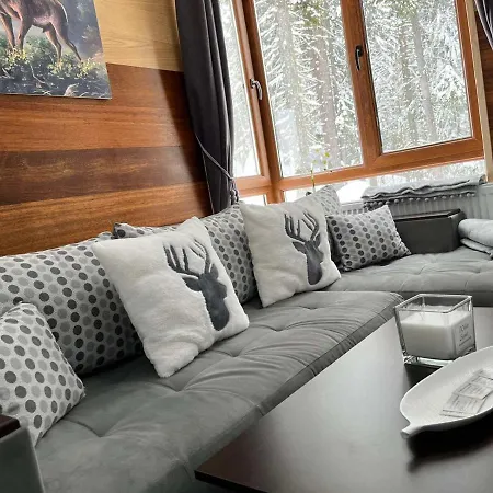 Elizi Winter House елизи зимна къща Apartmanhotel *