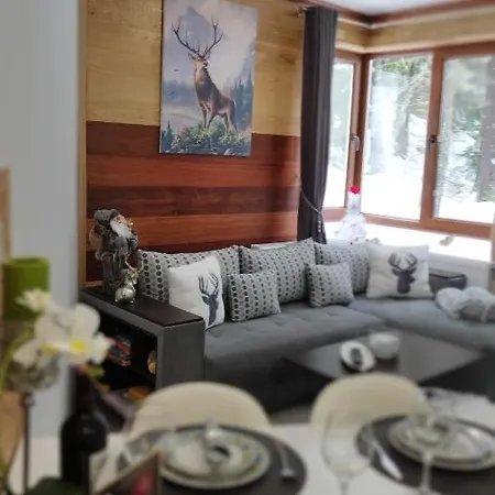 Apartmanhotel Elizi Winter House елизи зимна къща Pamporovo