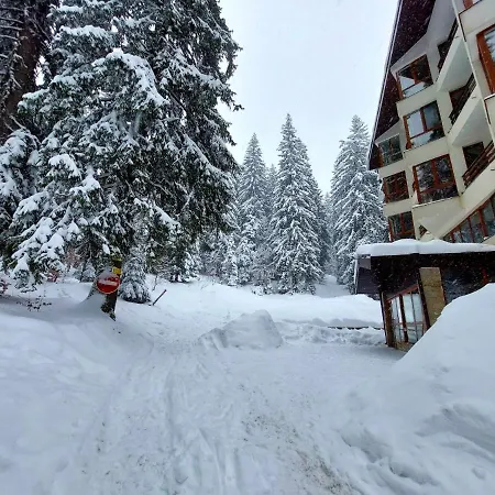 Elizi Winter House елизи зимна къща パンポロボ